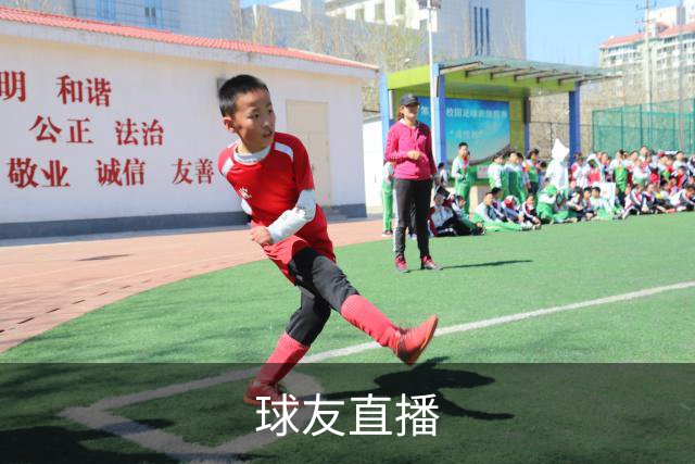 球友直播公司介绍